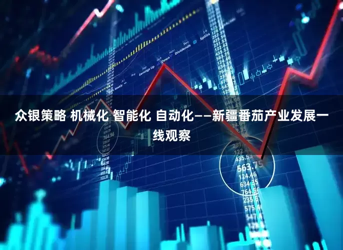 众银策略 机械化 智能化 自动化——新疆番茄产业发展一线观察