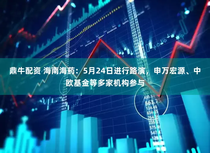 鼎牛配资 海南海药：5月24日进行路演，申万宏源、中欧基金等多家机构参与