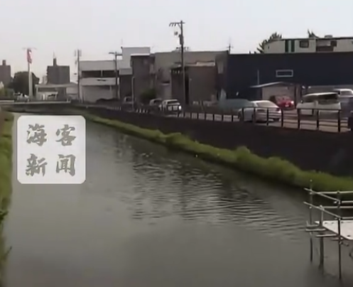 盈配网 日本一河流突现大量黑色物体 政府花12万元打捞处理
