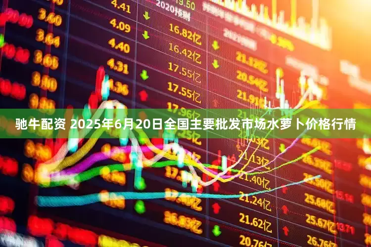 驰牛配资 2025年6月20日全国主要批发市场水萝卜价格行情